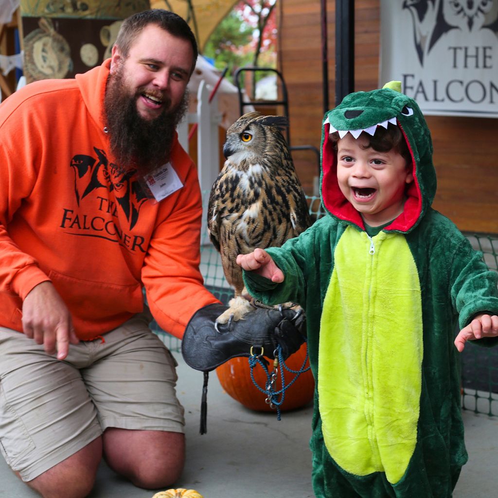 Meet Raptors with The Falconer