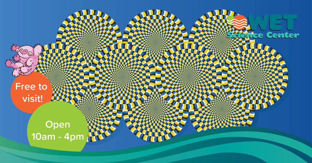 Test Your Senses