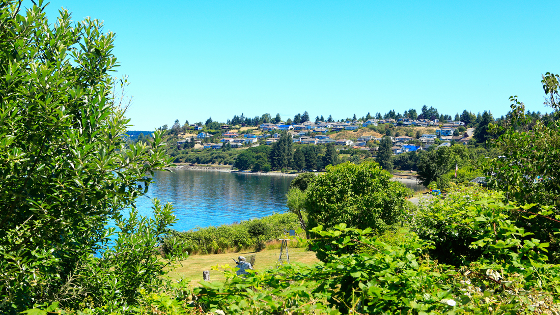 steilacoom beach park with trees and water view