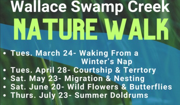 Guided Nature Walk at Wallace Swamp Creek