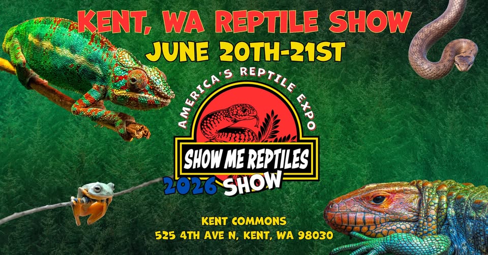 Kent Reptile Expo