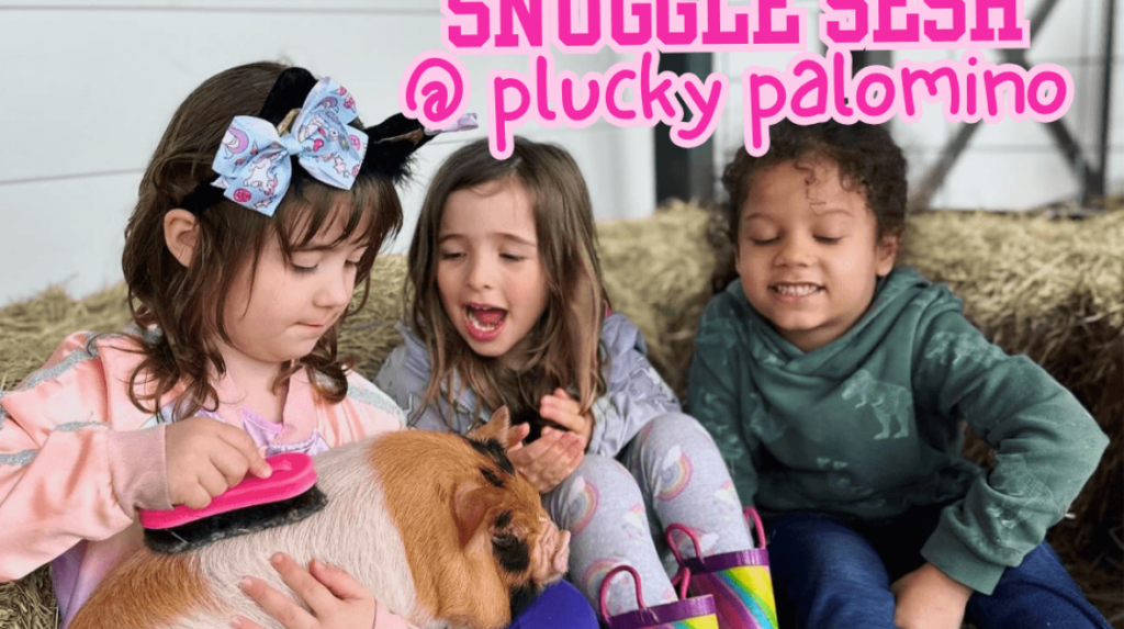 Barn Babies Snuggle Session at Plucky Palomino Petting Zoo