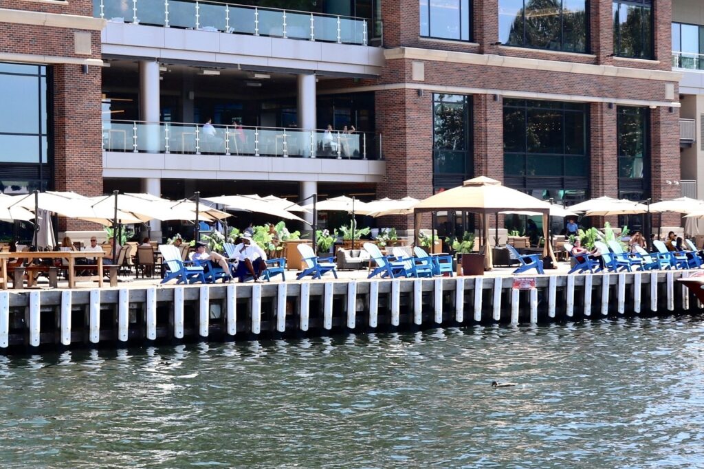 Live Music at dock & drink