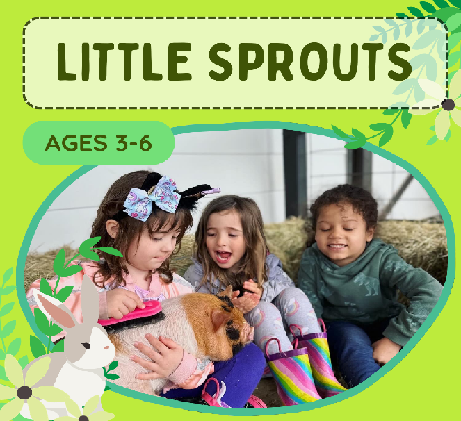 Little Sprouts: Farm School for Ages 3-6 @ Plucky Palomino Petting Zoo