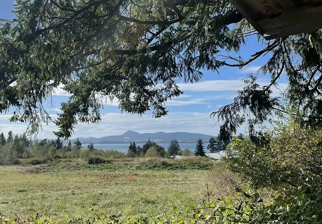 Junior Ecologists: Upland Trail Art and Exploring