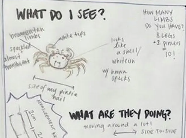All-Ages Nature Journaling Class