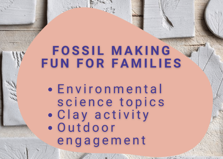 Nature Walk & Fossil making at Magnuson Park