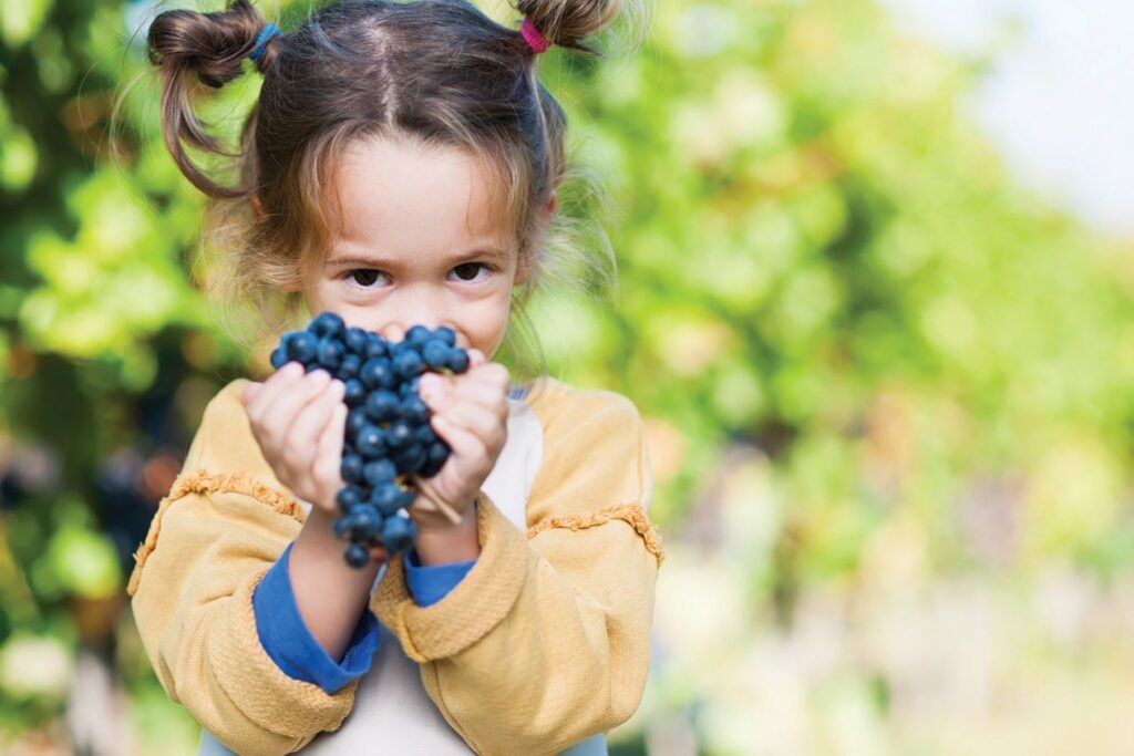 Raise a Glass: Washington State’s Best Family-Friendly Wineries