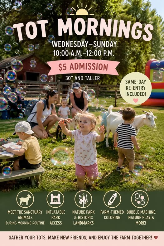 Tot Mornings at Briscot Farm
