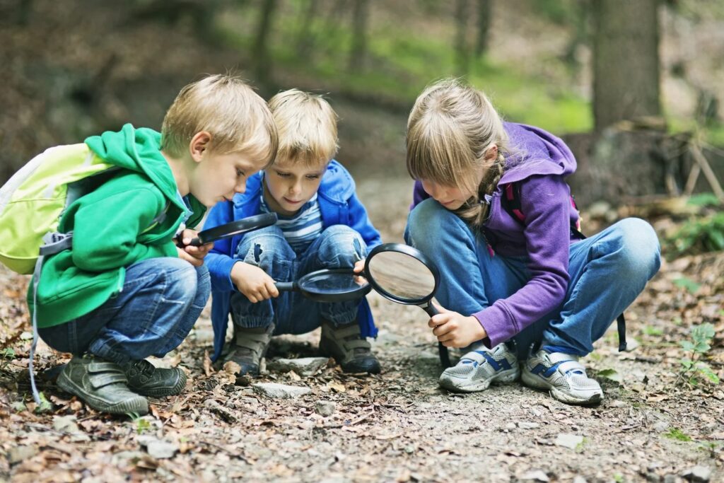 How Insects Help Birds Thrive: A Family Nature Adventure