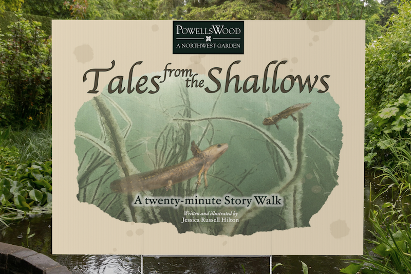 Story Walk Launch Party – Tales from the Shallows