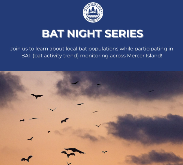 Bat Nights in Mercer Island