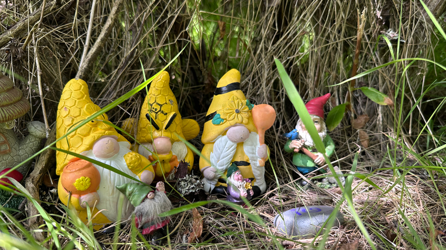 gnomes on the trail at Iverson Spit Preserve on Camano Island