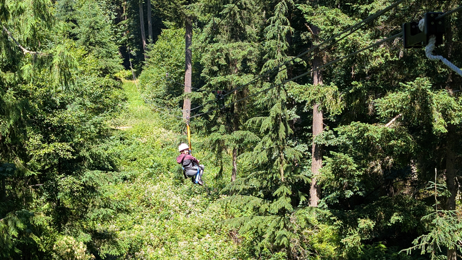 A person zip lining over the forest canopy at a Camano Island attraction