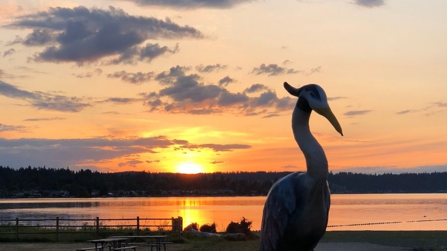 sunset at the Lake Sammamish State Park