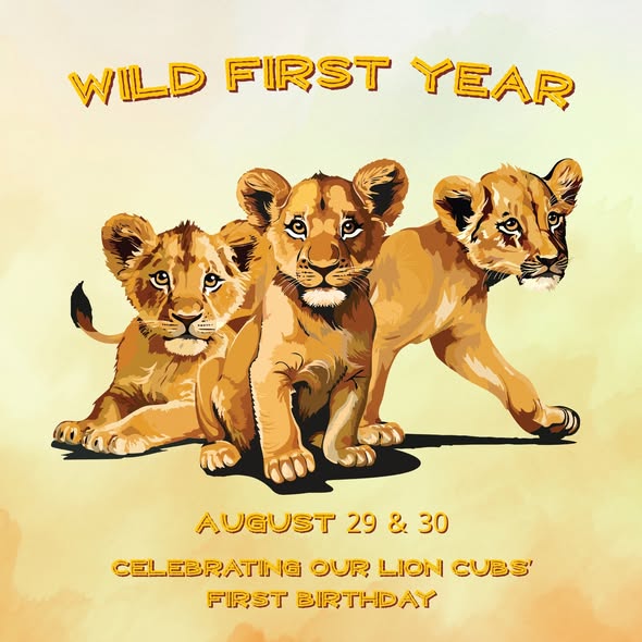 Wild First Year at Cougar Mountain Zoo