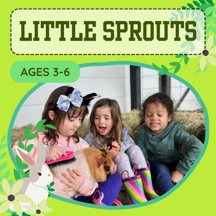 Drop In: Little Sprouts for Ages 3-6 at Plucky Palomino Petting Zoo