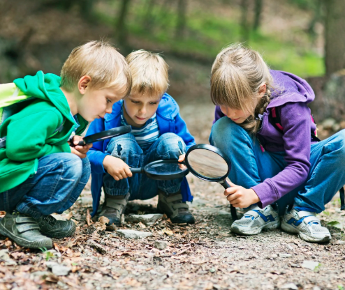 Kids Class: How Insects Help Birds Thrive