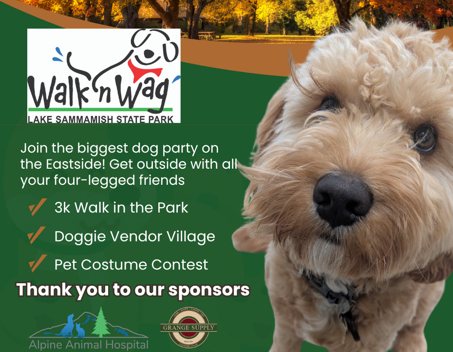 Walk’n Wag Harvest at Lake Sammamish State Park