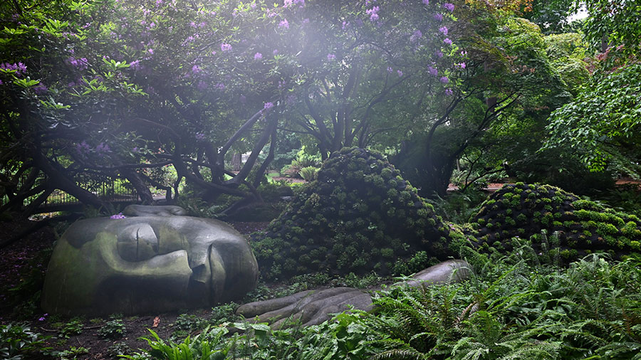 The Moss Lady in Beach Hill Park, a top Victoria, B.C. attraction to visit with kids