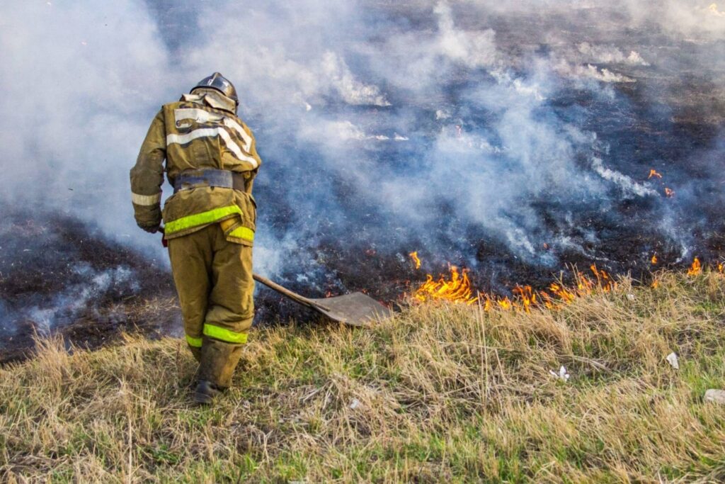 How Your Family Can Help the Spokane Wildfire Evacuees