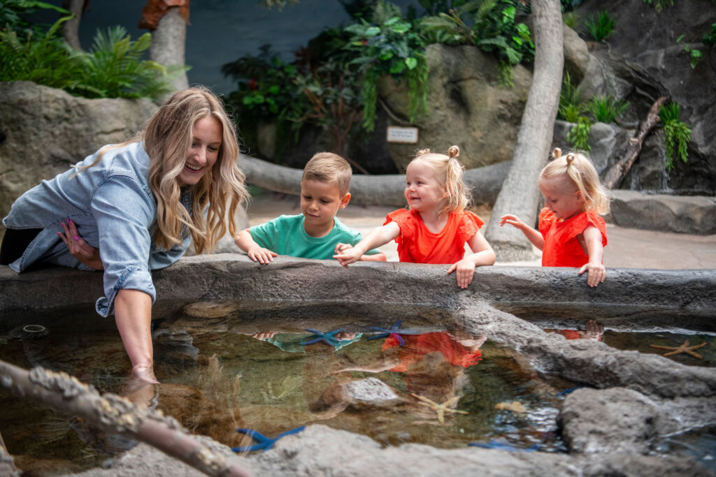 The Weekender: Family Fun Ideas for Seattle, the Eastside and South Sound