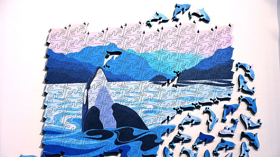 handcrafted jigsaw puzzle depicting orcas with orca-shaped pieces from a Victoria, B.C. toy store