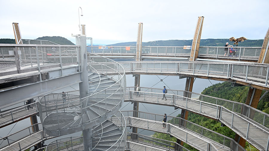 Malahat Skywalk, a top attraction in Victoria, B.C., is a 10-story open spiral with 360-degree views.