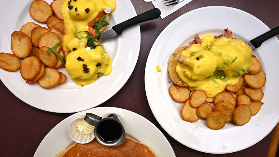 large breakfast portions at Floyd's Diner James Bay, a family-friendly restaurant in Victoria, B.C.