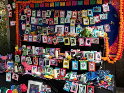 Dia de Los Muertos Ofrenda for Animals at Farrel-McWhirter Park