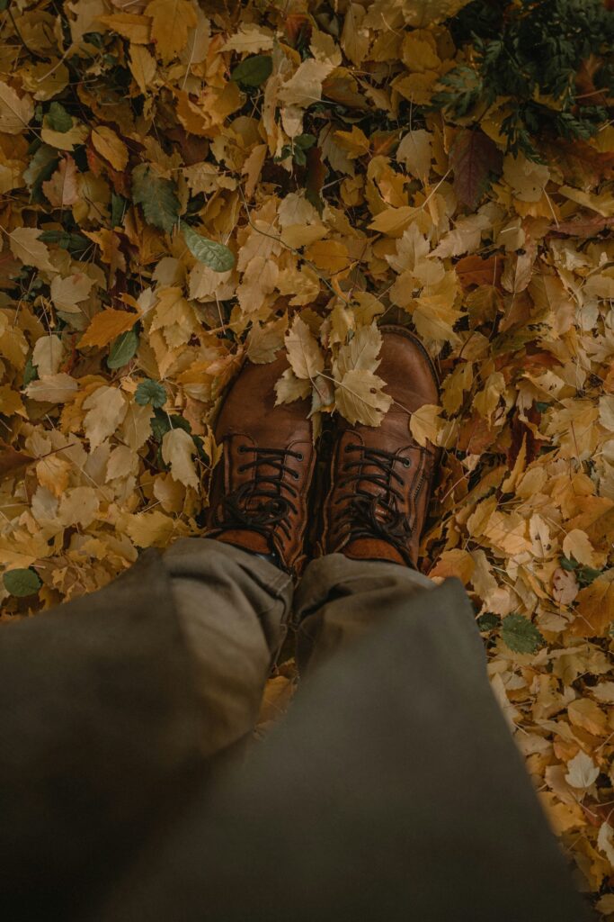 Autumn Alchemy Hiking Series