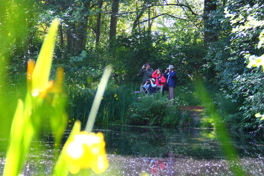 December Welcome Wednesday at Bloedel Reserve