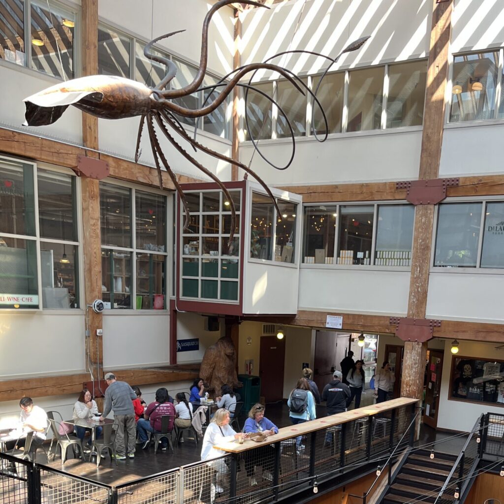 25th Anniversary of the Seattle Squid