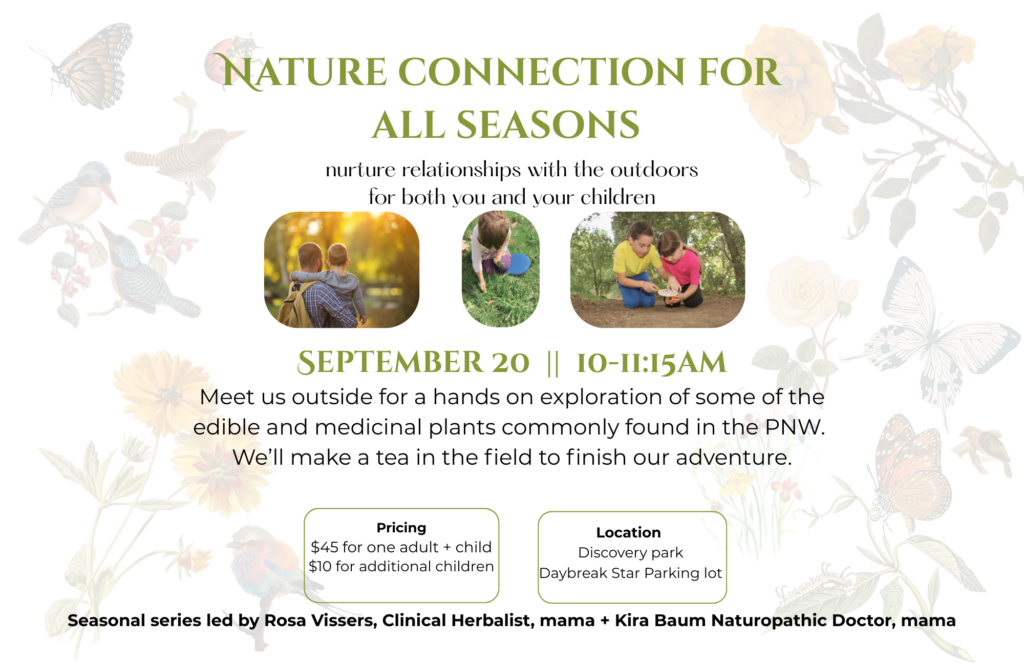 Nature Connection for All Seasons: Fall