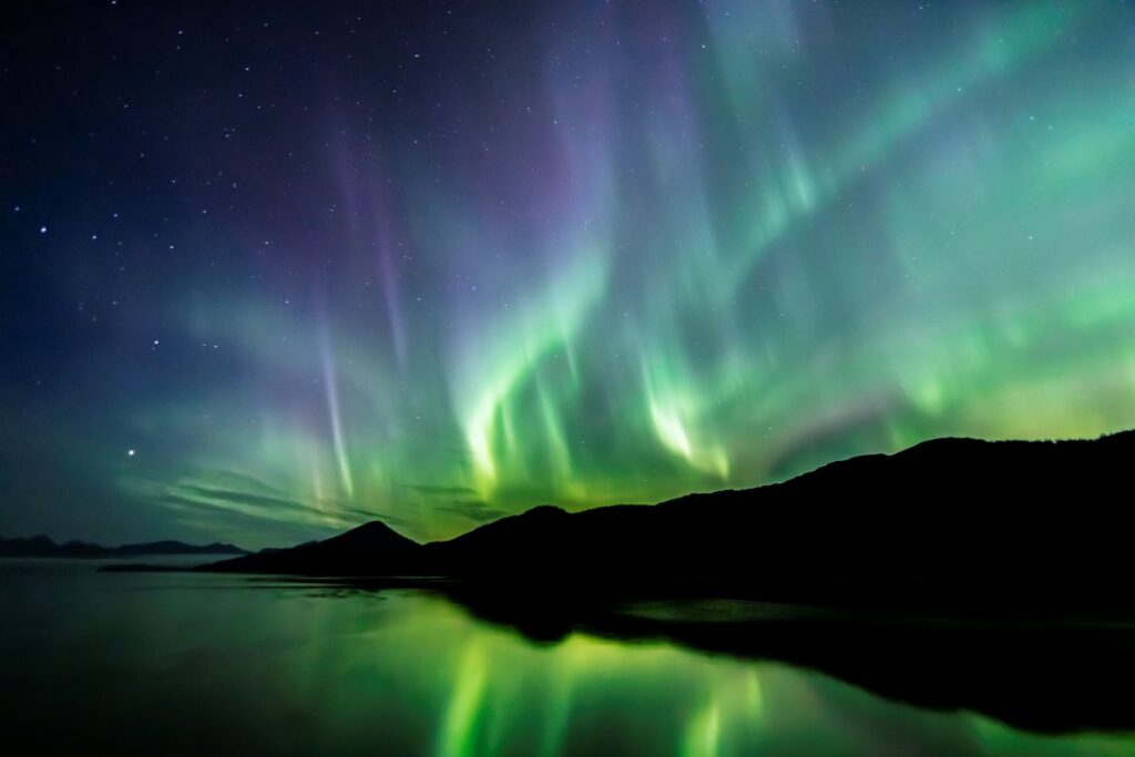 Lights in the Night