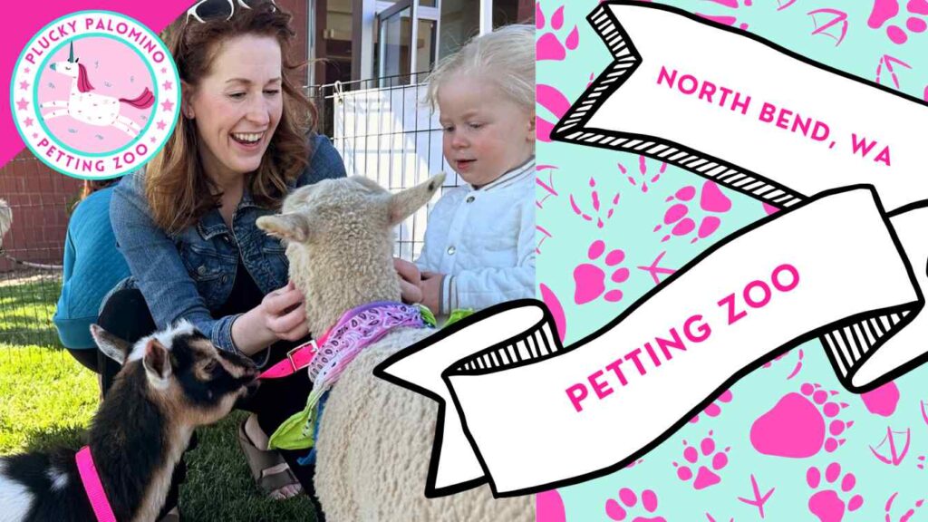 Petting Zoo Animal Encounter @ Plucky Palomino Petting Zoo