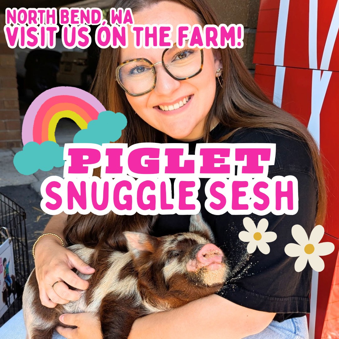 Piglet Snuggle Sesh at Plucky Palomino Petting Zoo