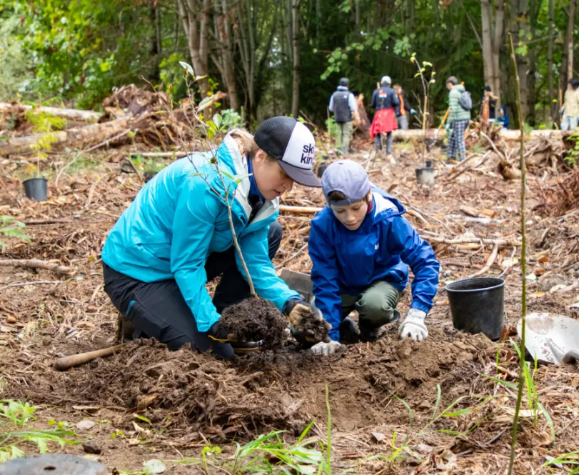 Celebrate the Start of Tree Planting Season