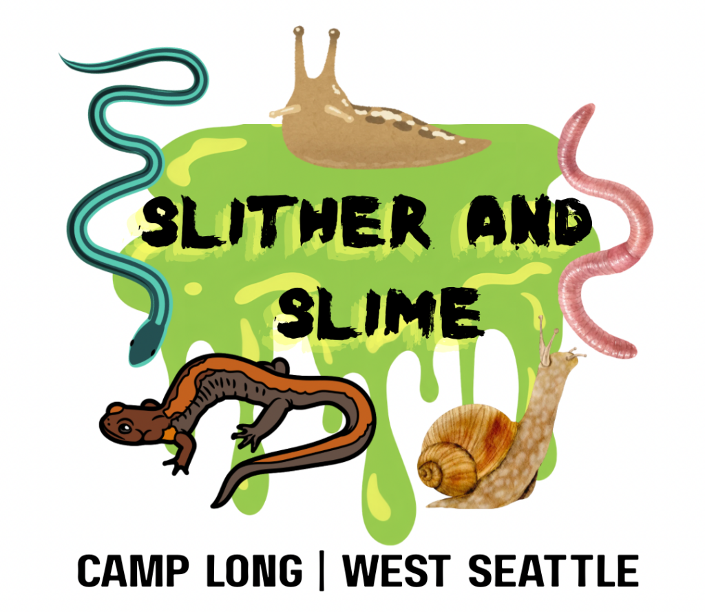 Slither and Slime