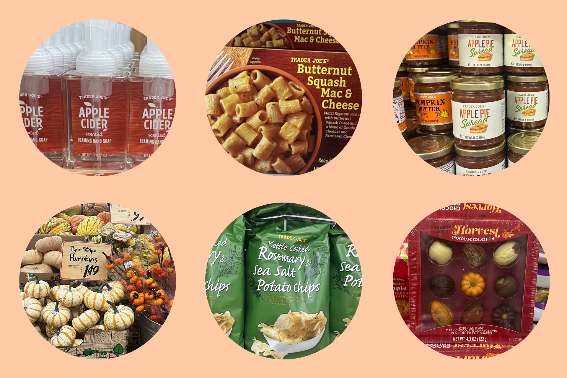 fall items available at Trader Joe's