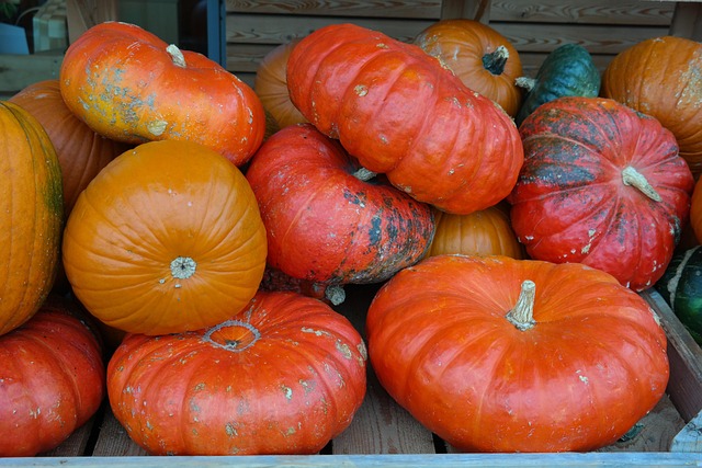 Queen Anne Farmers Market – October Harvest Market
