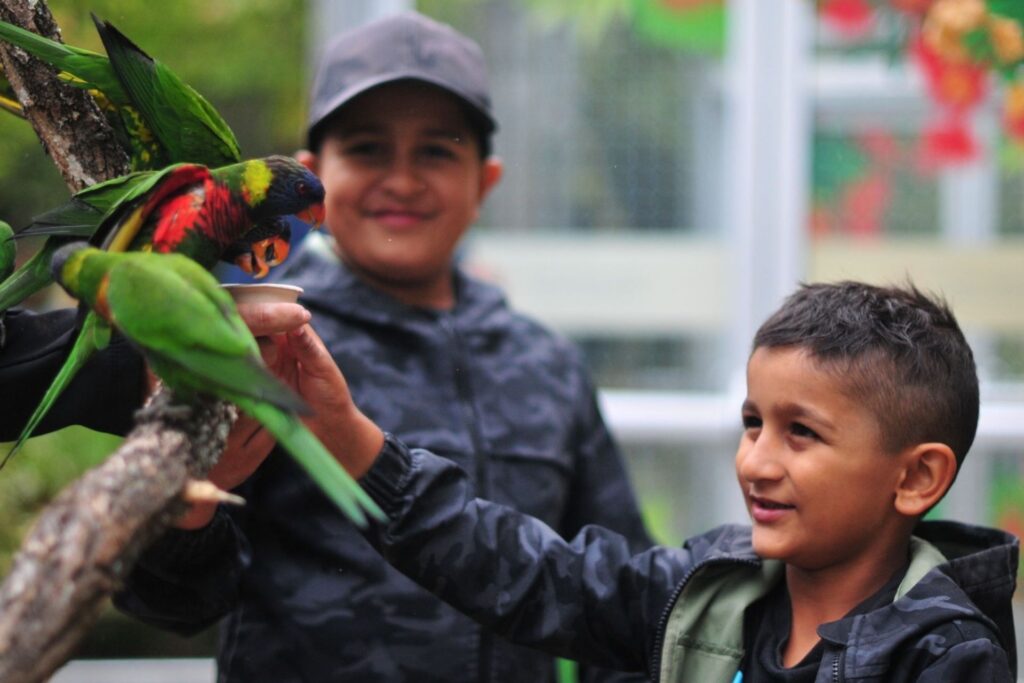 New Interactive Lorikeet Experience Lands at Seattle’s Woodland Park Zoo