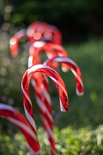 Chambers Candy Cane Hunt