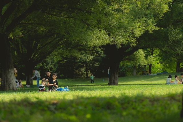 Picnic for Peace