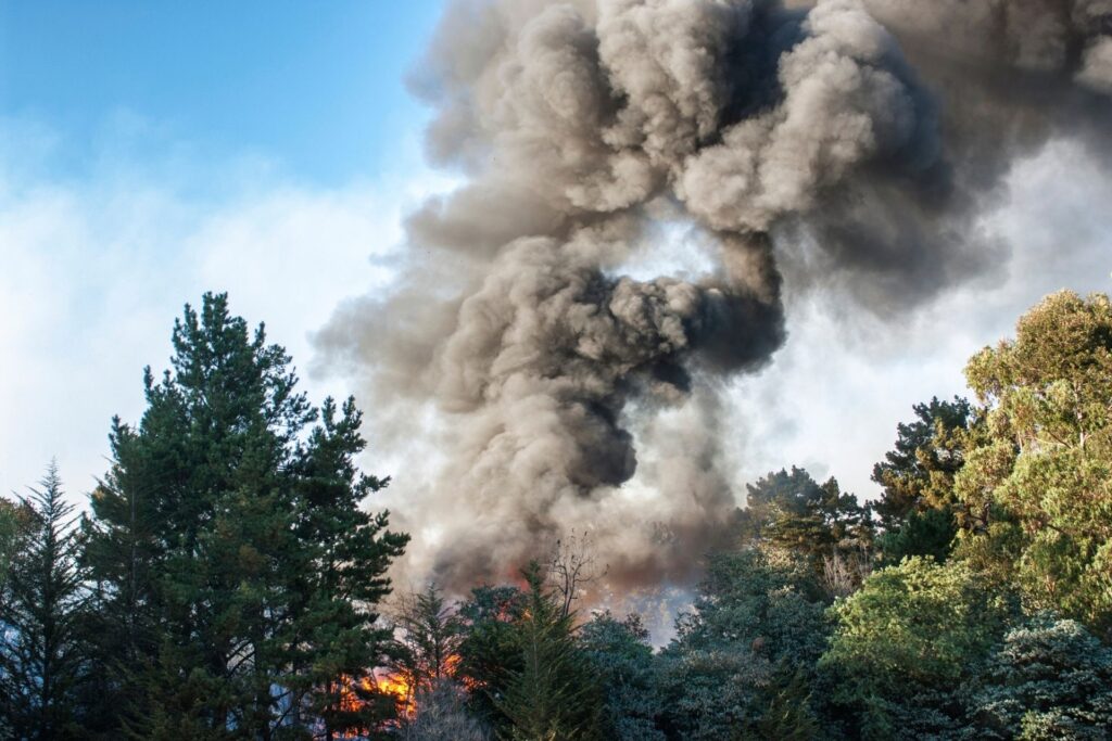 5 Smart Things Parents Can Do to Protect Kids From Wildfire Smoke