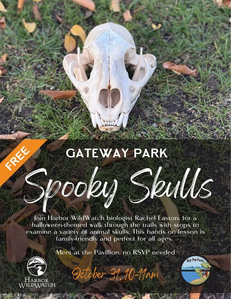 Spooky Skulls Walk