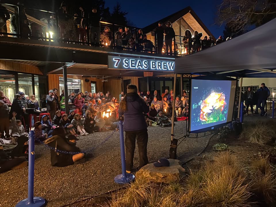 Peer in the Night at 7 Seas