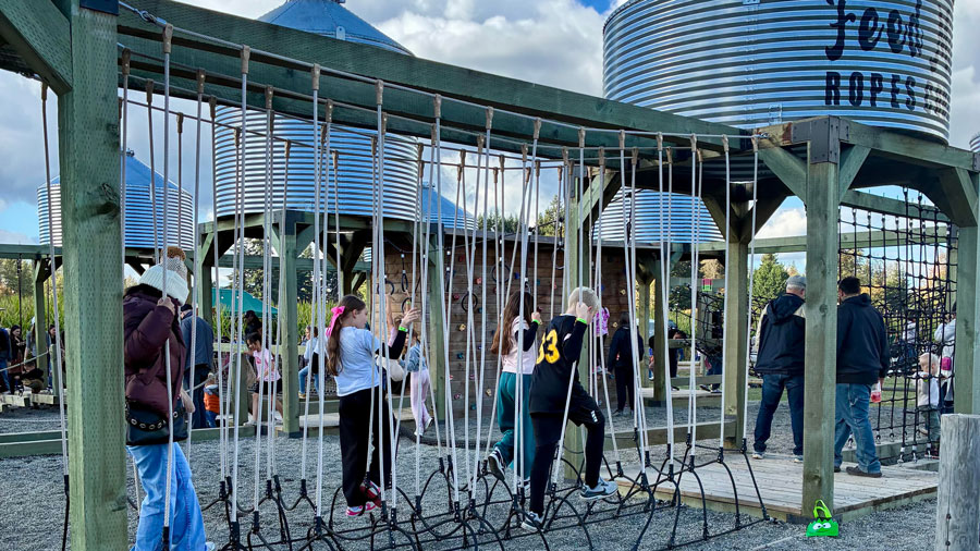 kids walking across a ropes course at Maris Farms
