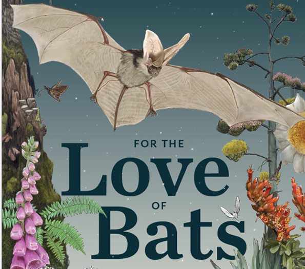For the Love of Bats: Exploring Nature at Night with the West’s Flying Mammals