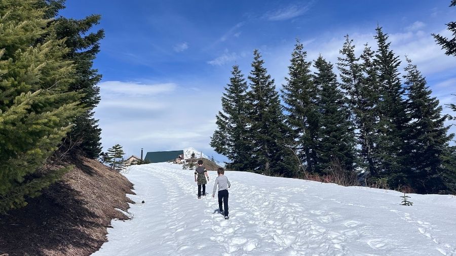 two children hiking up a snowy MTTA trail toward high hut, surrounded by evergreen trees